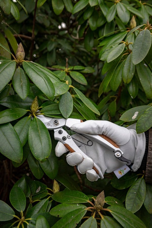 Blød læder havehandske. - Blomsterverden